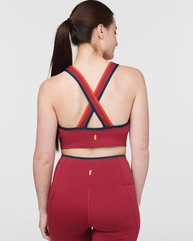 Mari Crop Top - Womens - Raspberry 2