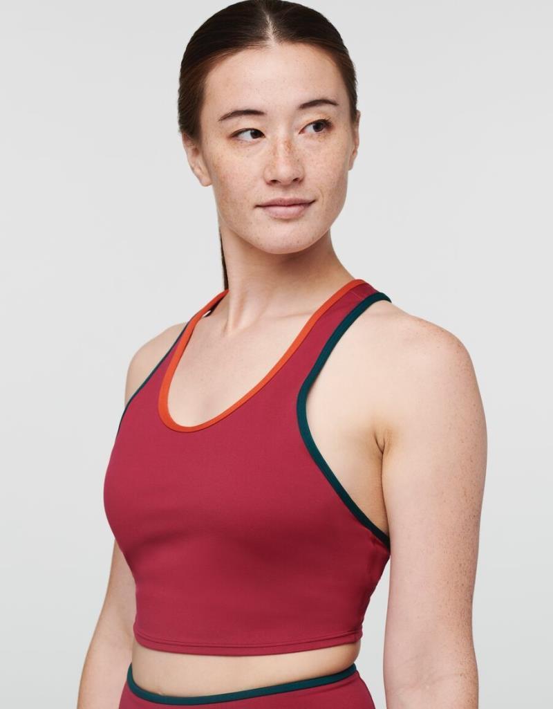 Mari Crop Top - Womens - Raspberry 3