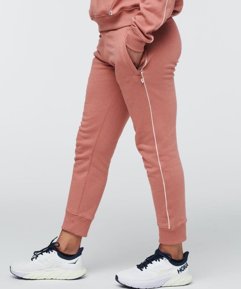 Organic Sweatpants - Womens - Earthen 2