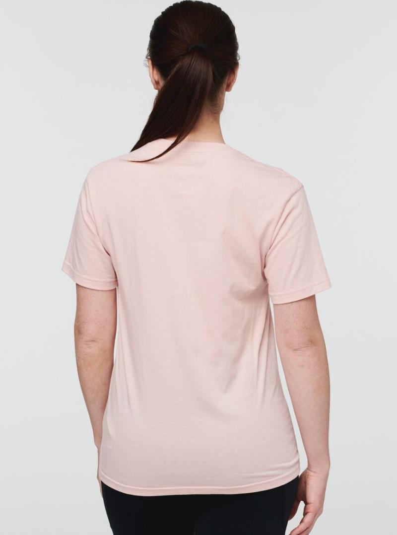 Sunny Side Organic T-Shirt - Womens - Sand 3