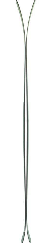 Pagoda 100 RP 2022-23 - green 1