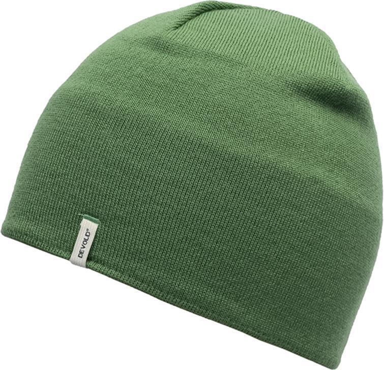 Friends Merino Beanie - Grass 1