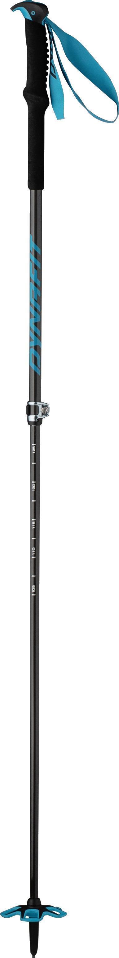 Speed Vario 2.0 Poles - Frost 1