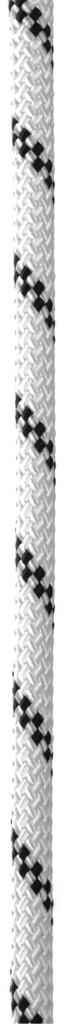 Performance Static 10mm x 60m - snow 1