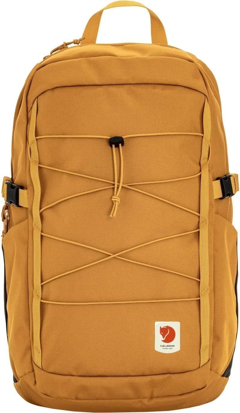 Skule 24 - red gold 1
