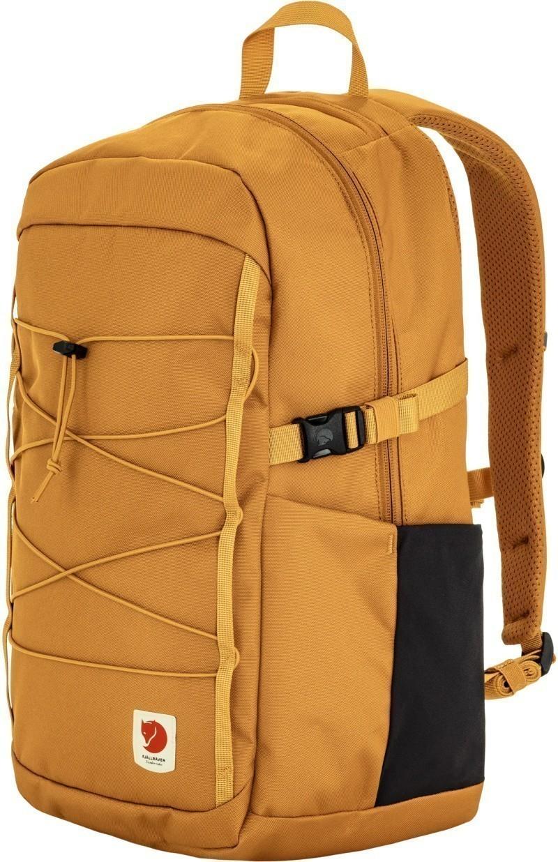 Skule 24 - red gold 1