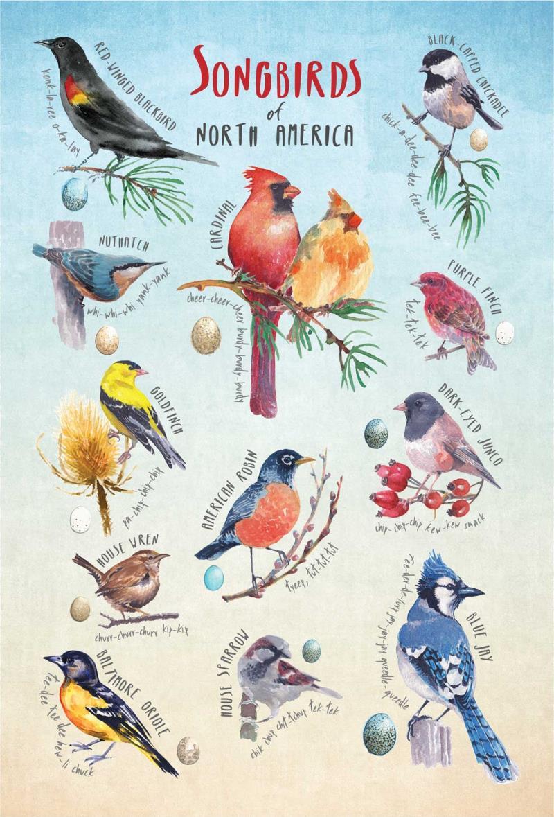 Outside / Inside - Mini Puzzle - Songbirds 1
