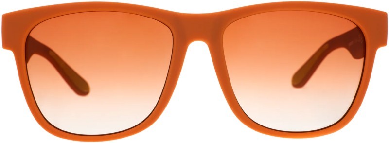 BFG Sunglasses - mayor of pangaea 1