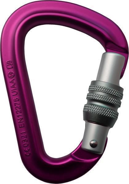 Cheakamus ScrewGate Carabiner - Pink 1