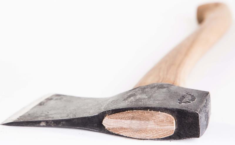 Small Forest Axe - 49cm / 19" - Not Applicable 5