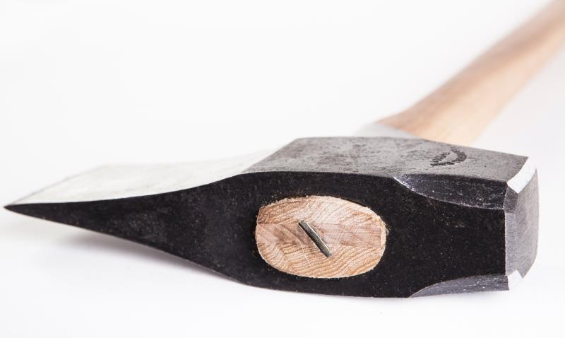 Splitting Maul with Collar Guard - 80cm / 31.5" - Not Applicable 5