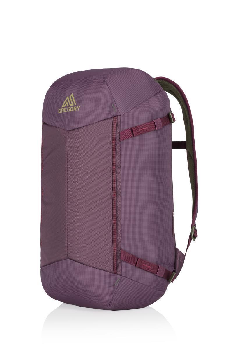 Compass 30 - purple 1