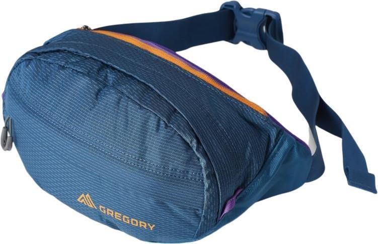 Nano Waistpack - Icon Teal 1