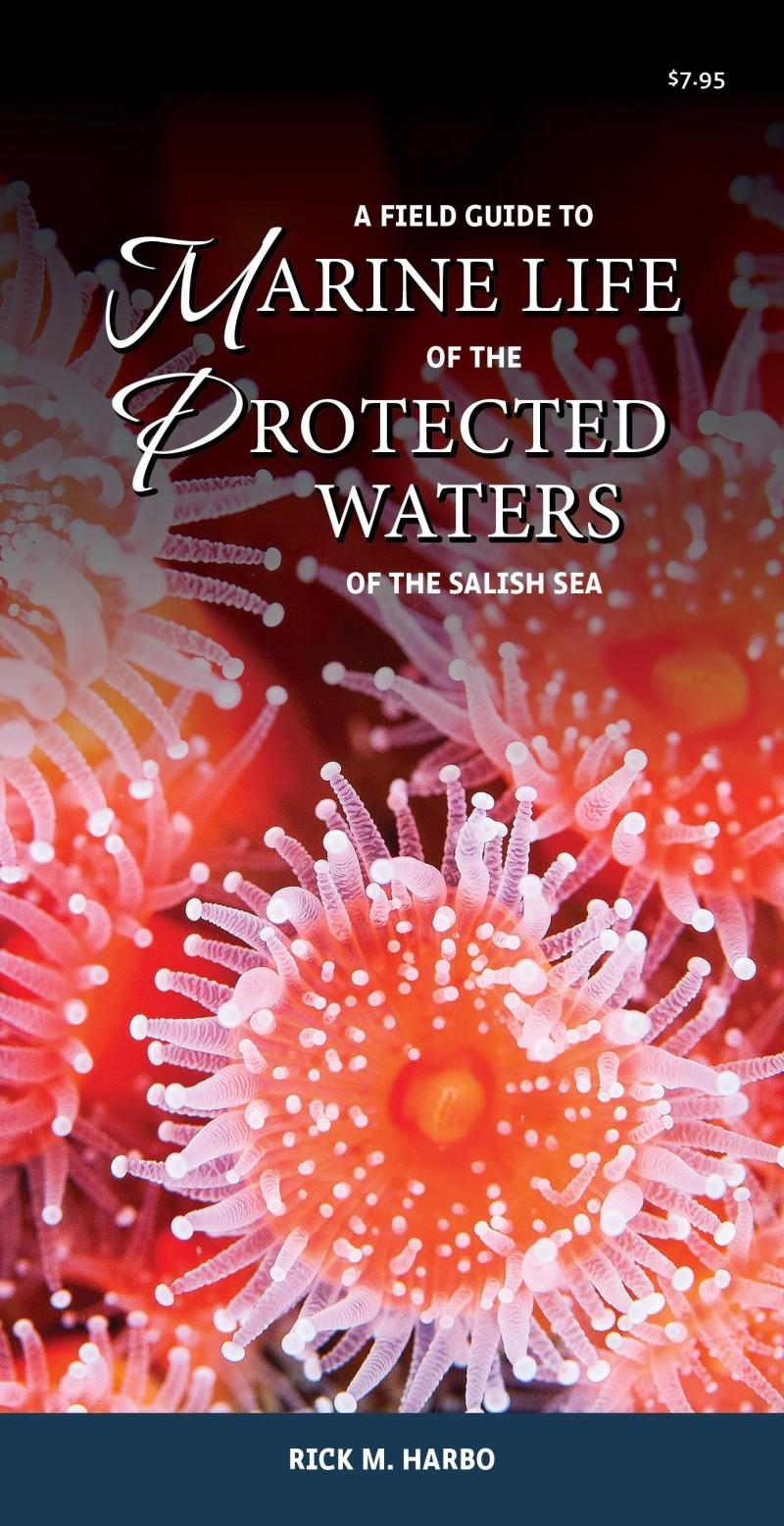 Field Guide to Marine Life of the Protected Waters - not applicable 1