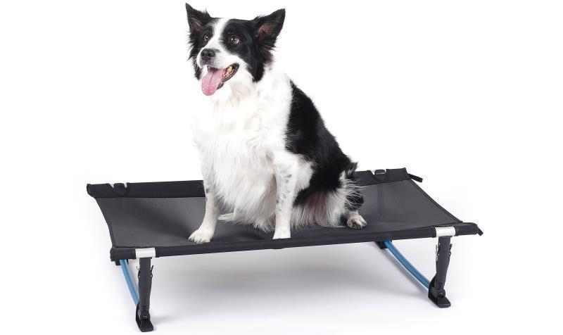 Elevated Dog Cot  M - Black 1