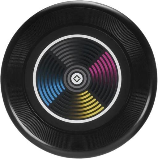 Flying Disc 8.5 - black 1