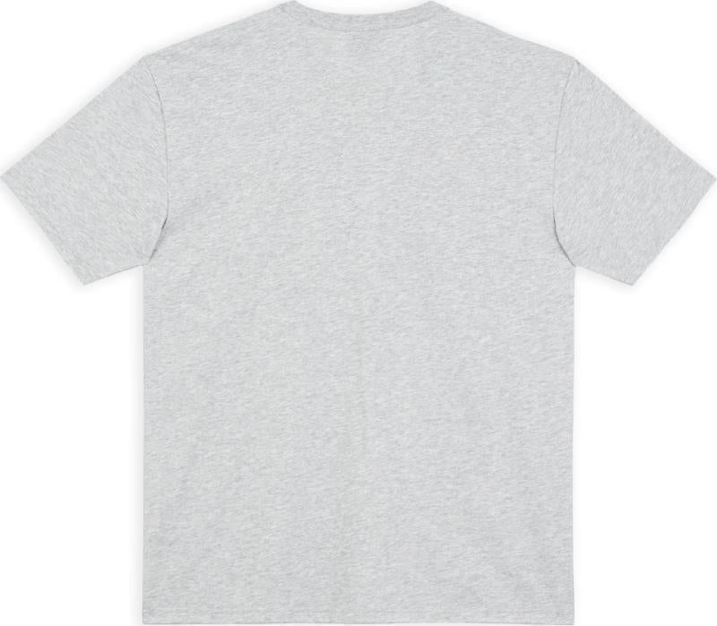 Bushplane T-Shirt - Mens - Heather Grey 2