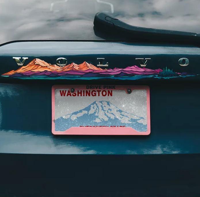 Mt. Baker & Twin Sisters Infinity Sticker - Not Applicable 5