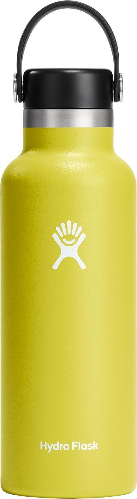 532ml / 18oz Standard Mouth w/ Flex Cap - Cactus 1