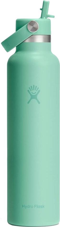 621ml / 21oz Standard Mouth with Flex Straw Cap - mermaid green 1