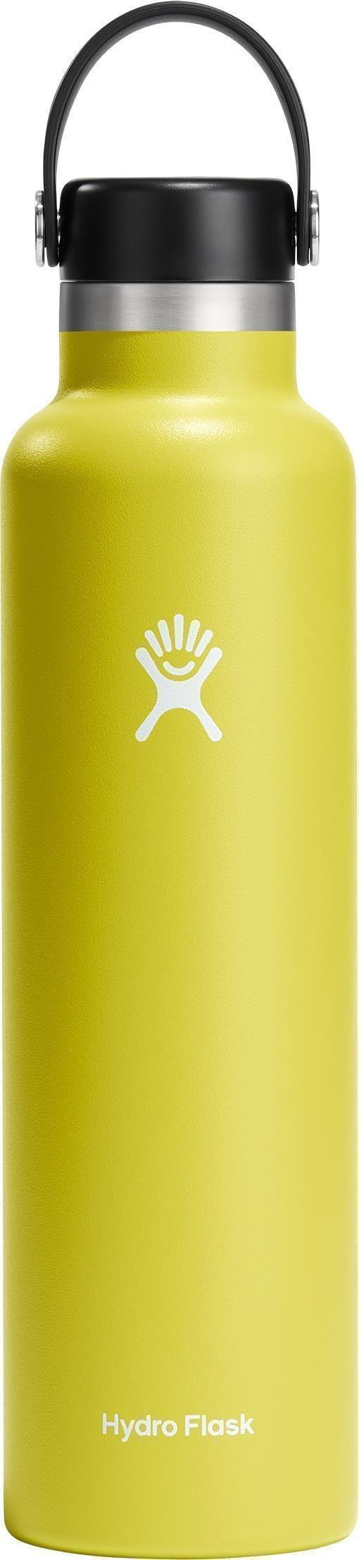 710ml / 24oz Standard Mouth with Flex Cap - cactus 1