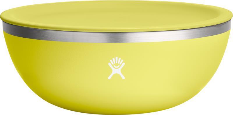 950ml / 1qt Bowl w/ Lid - cactus 1