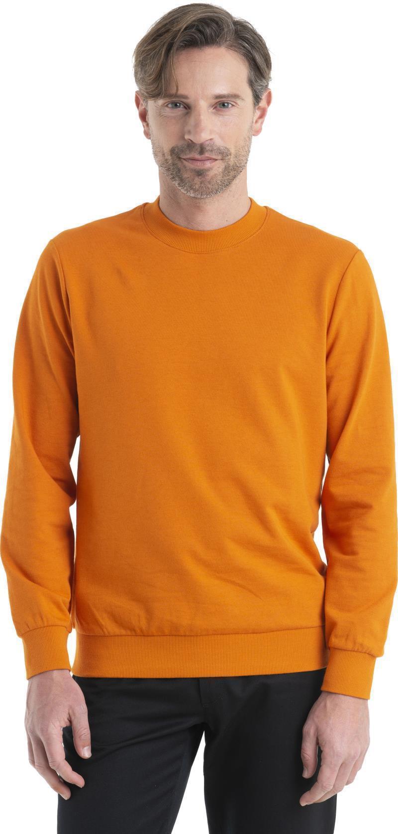 Central II LS Sweatshirt - Mens - Earth 3