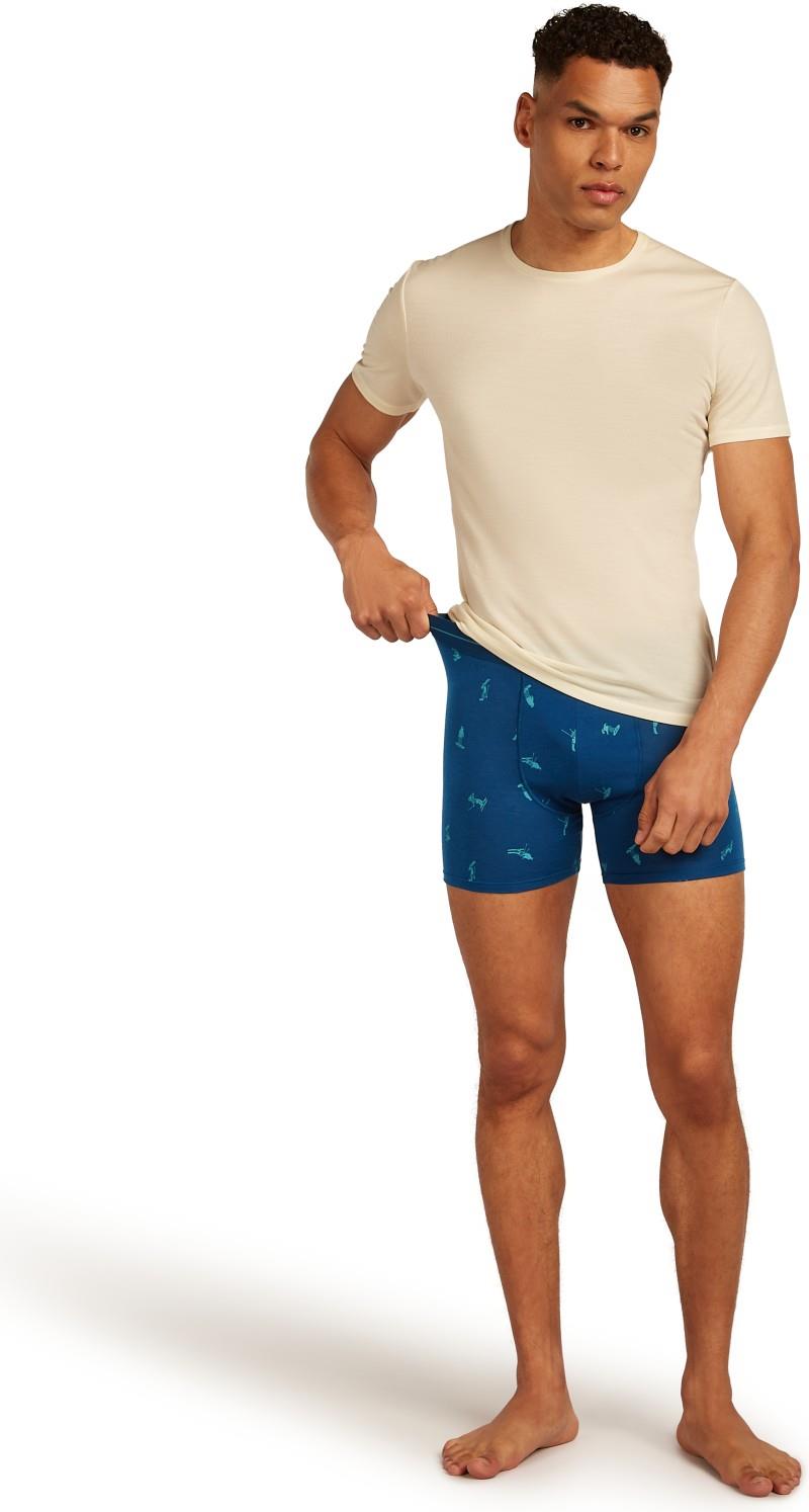 Merino 150 Anatomica Boxers Ski Day - Mens - atlantis / topaz / aop 1