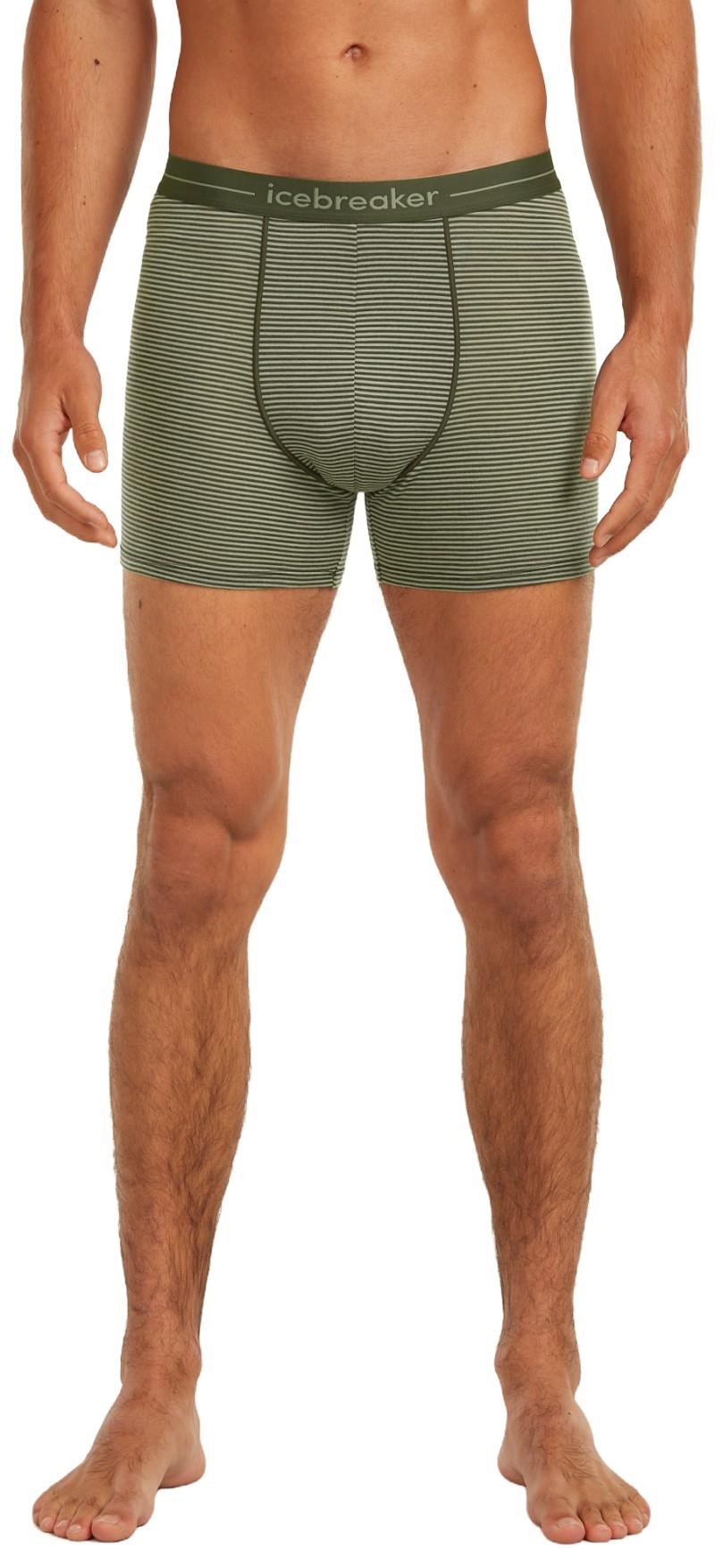 Merino 150 Anatomica Boxers - Mens - lichen / dark loden - stripe 1