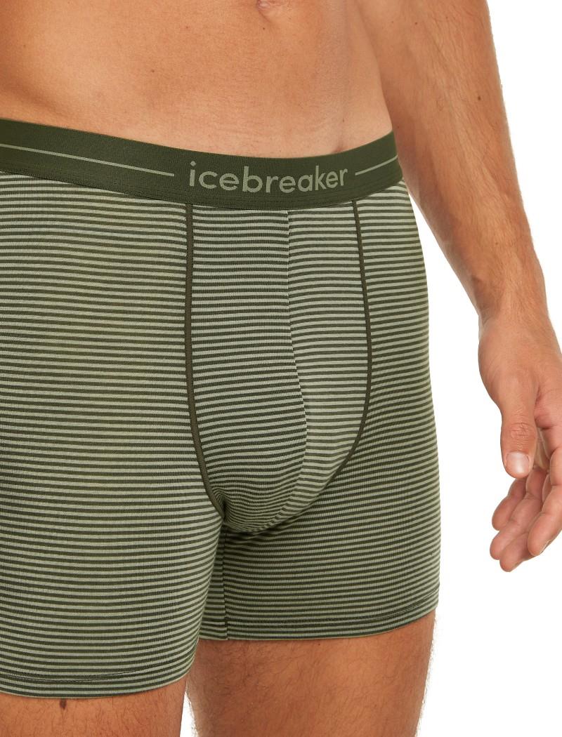 Merino 150 Anatomica Boxers - Mens - lichen / dark loden - stripe 1