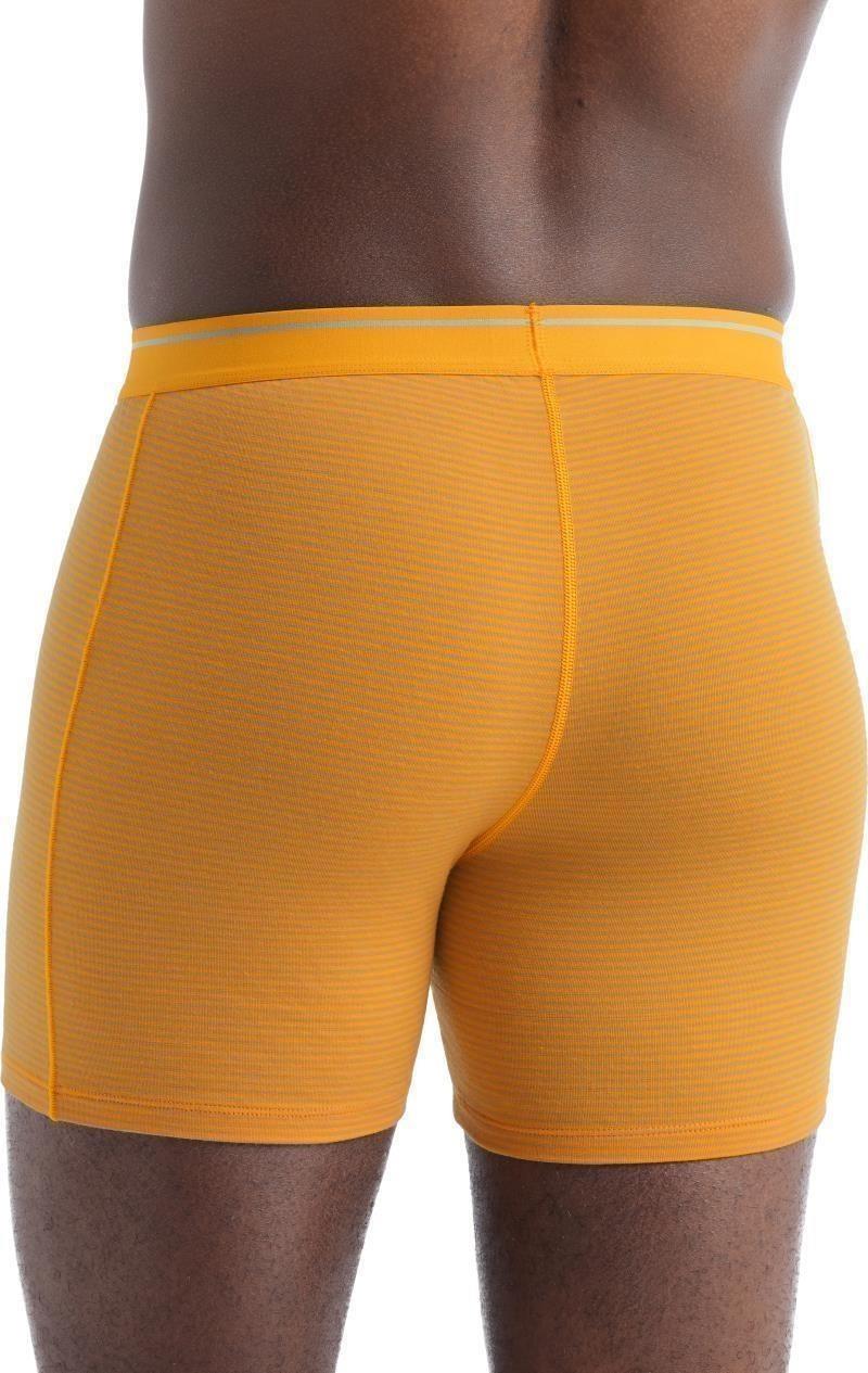 Merino 150 Anatomica Boxers with Fly - Mens - electric / praline - stripe 1