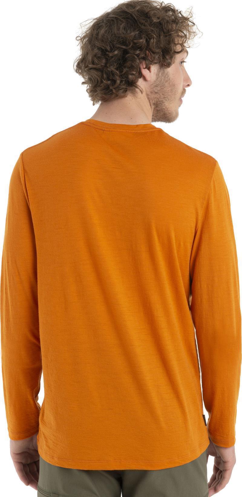 Merino 150 Tech Lite II LS Tee - Alps 3D - Mens - Earth 4