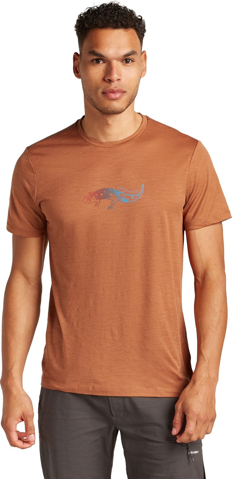 Merino 150 Tech Lite SS Tee Slimey Salamander - Mens - dusty clay 1