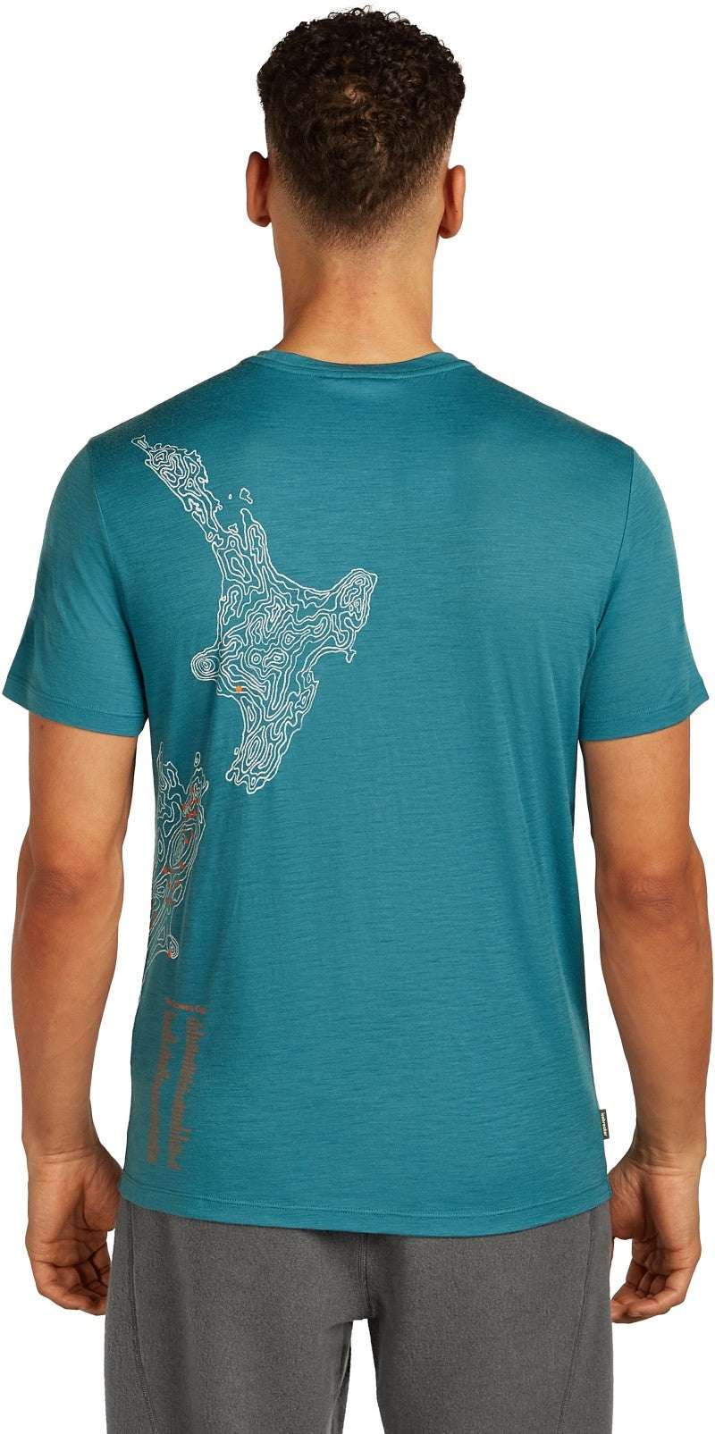 Merino 150 Tech Lite SS Tee - 30th Anniversary - Mens - topaz 1