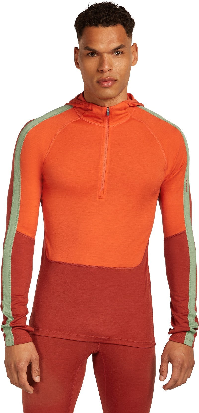 Merino 200 Oasis+ LS Half Zip Hoodie - Mens - agate / fervid / seaglass / cb 1