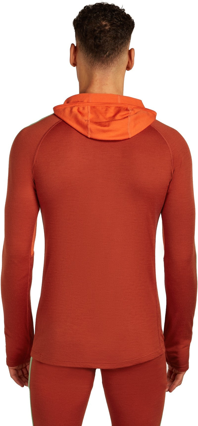 Merino 200 Oasis+ LS Half Zip Hoodie - Mens - agate / fervid / seaglass / cb 1