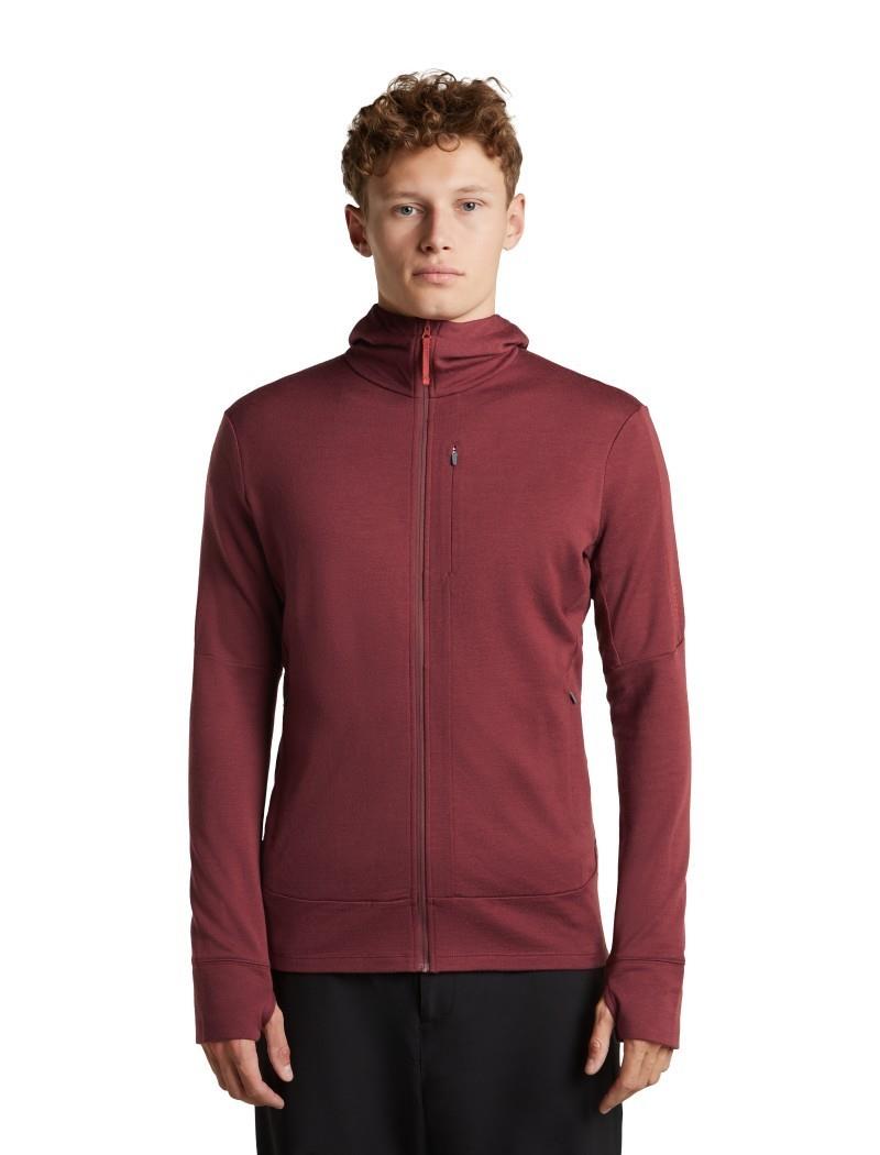 Merino 260 Quantum LS Zip Hoodie - Mens - port / agate 1