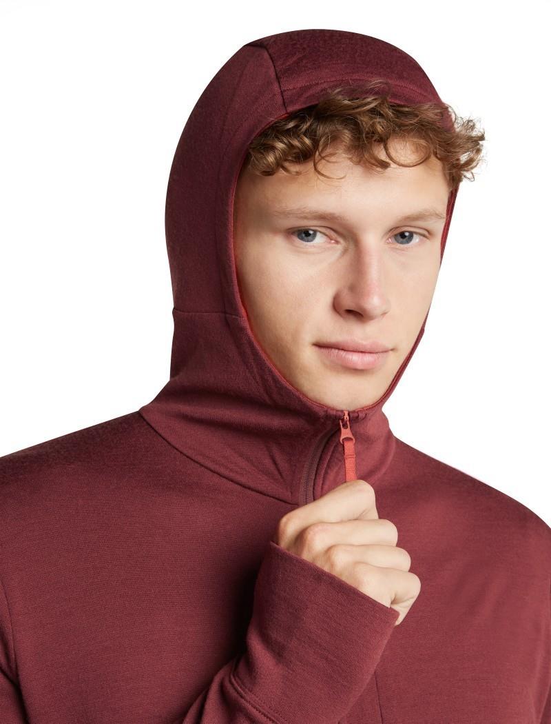 Merino 260 Quantum LS Zip Hoodie - Mens - port / agate 1