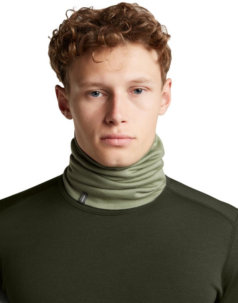 Merino 260 Tech Chute - lichen 1