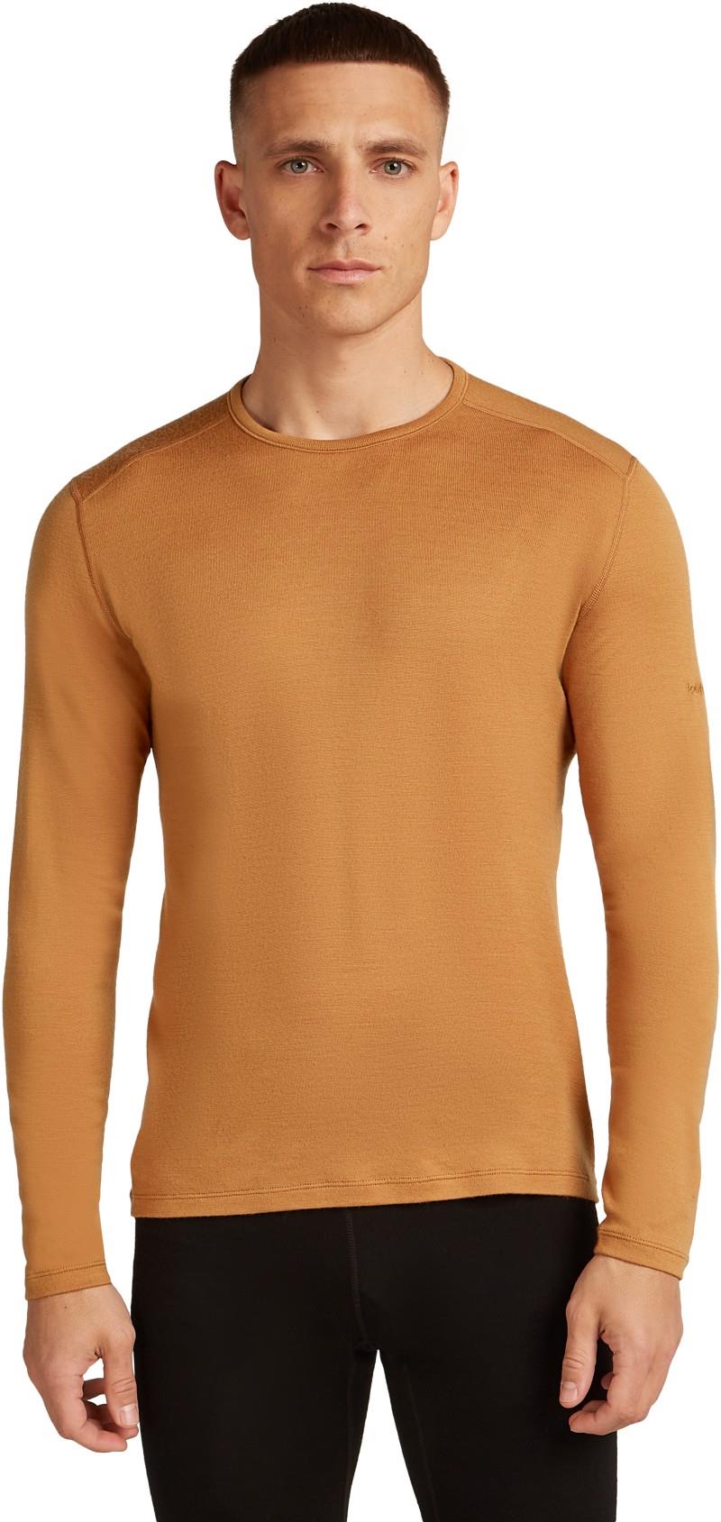 Merino 260 Tech LS Crewe - Mens - trail 1