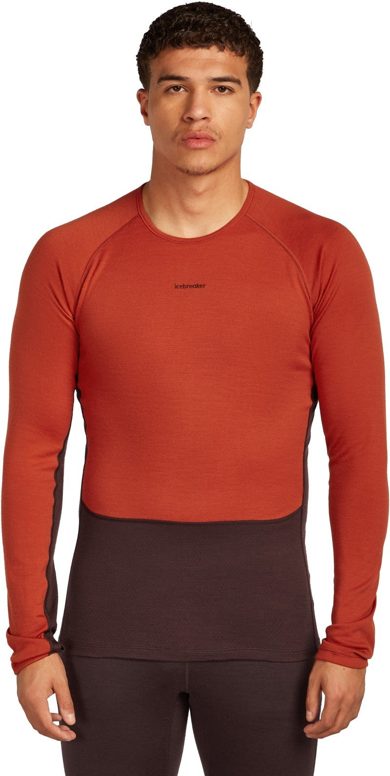 Merino 260 ZoneKnit LS Crewe - Mens - java / agate / cb 1