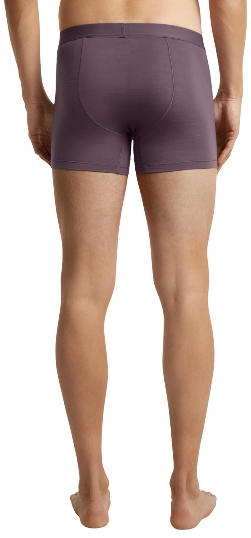 Merino Blend 125 Cool-Lite Anatomica Boxers - Mens - grey plum 1