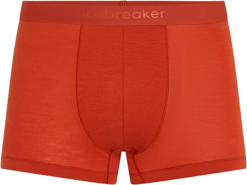 Merino Blend 125 Cool-Lite Anatomica Trunks - Mens - agate 1