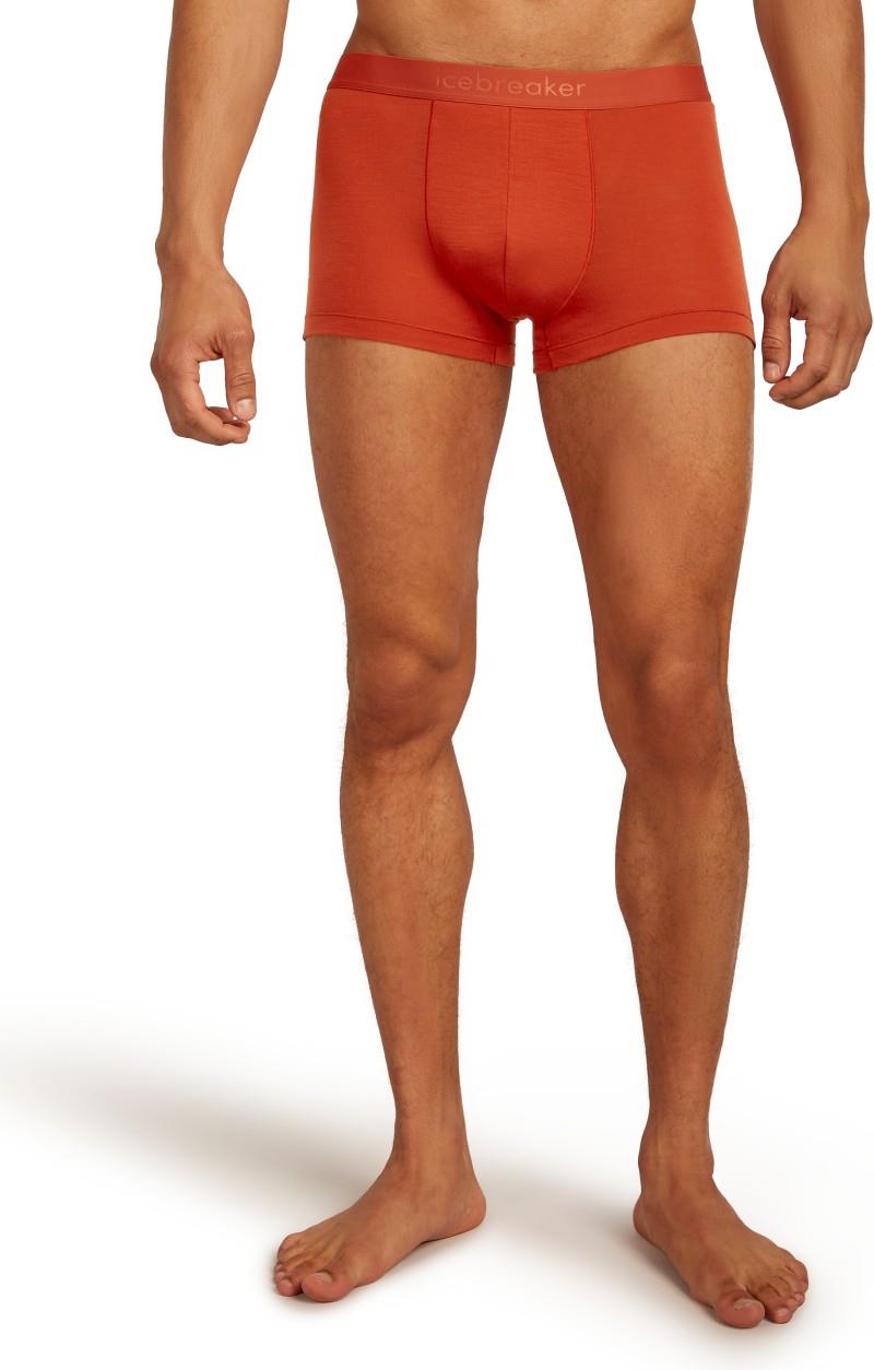 Merino Blend 125 Cool-Lite Anatomica Trunks - Mens - agate 1