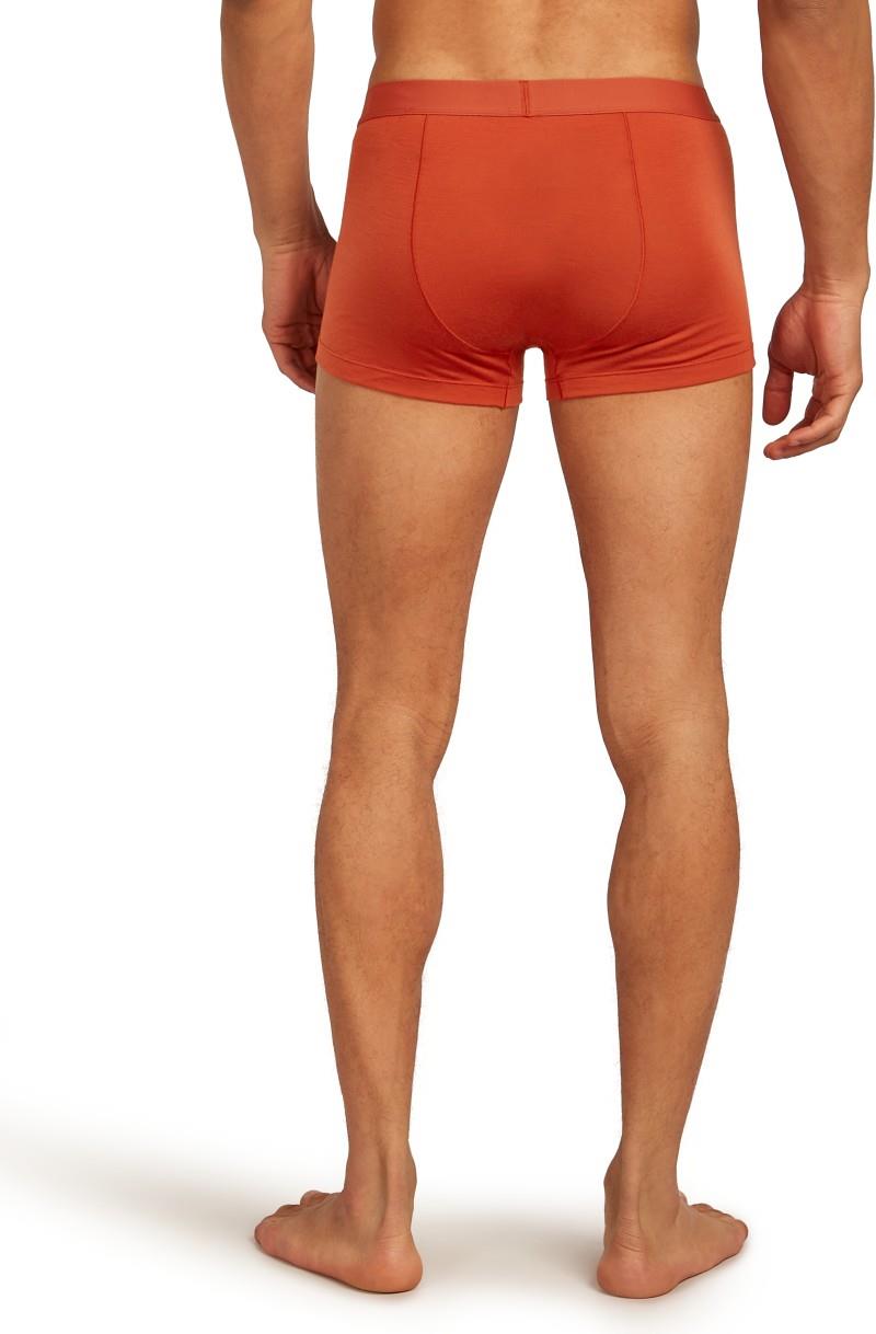 Merino Blend 125 Cool-Lite Anatomica Trunks - Mens - agate 1