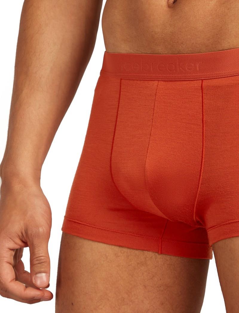 Merino Blend 125 Cool-Lite Anatomica Trunks - Mens - agate 1