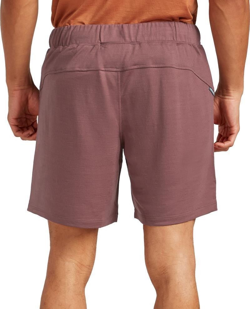 Merino Blend 200 Shifter II Shorts - Mens - carob 1