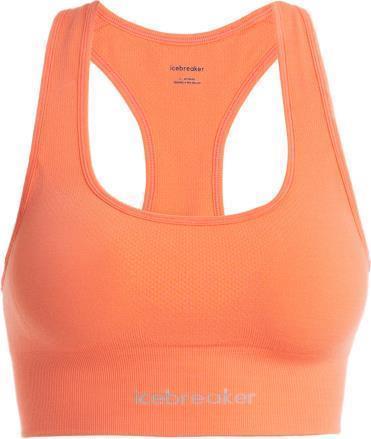 Merino Blend 260 Zoneknit Seamless Bra - tang 1