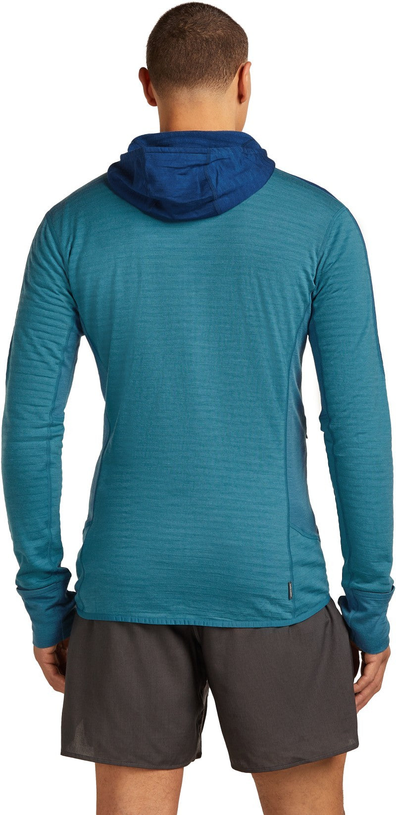 Merino Blend 300 RealFleece Descender LS Zip Hoodie - Mens - topaz / atlantis / cb 1