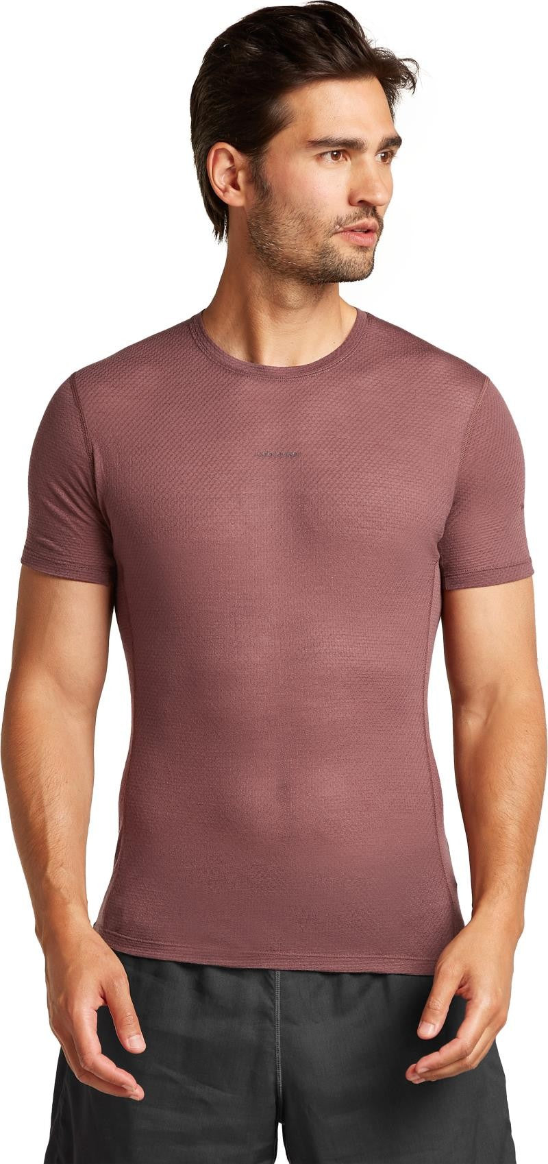 Merino Blend 75 Cool-Lite Ultralight SS Crewe - Mens - carob 1